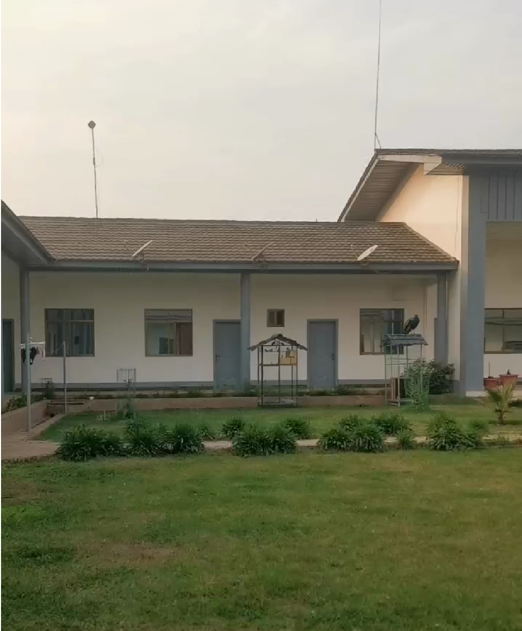 1695209332125668.png 1695208548083.png