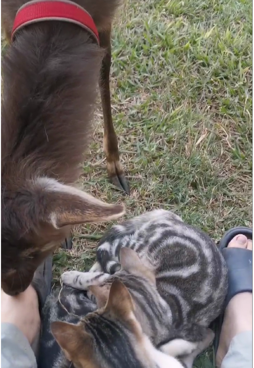 1695209385128854.png 1695208570477.png