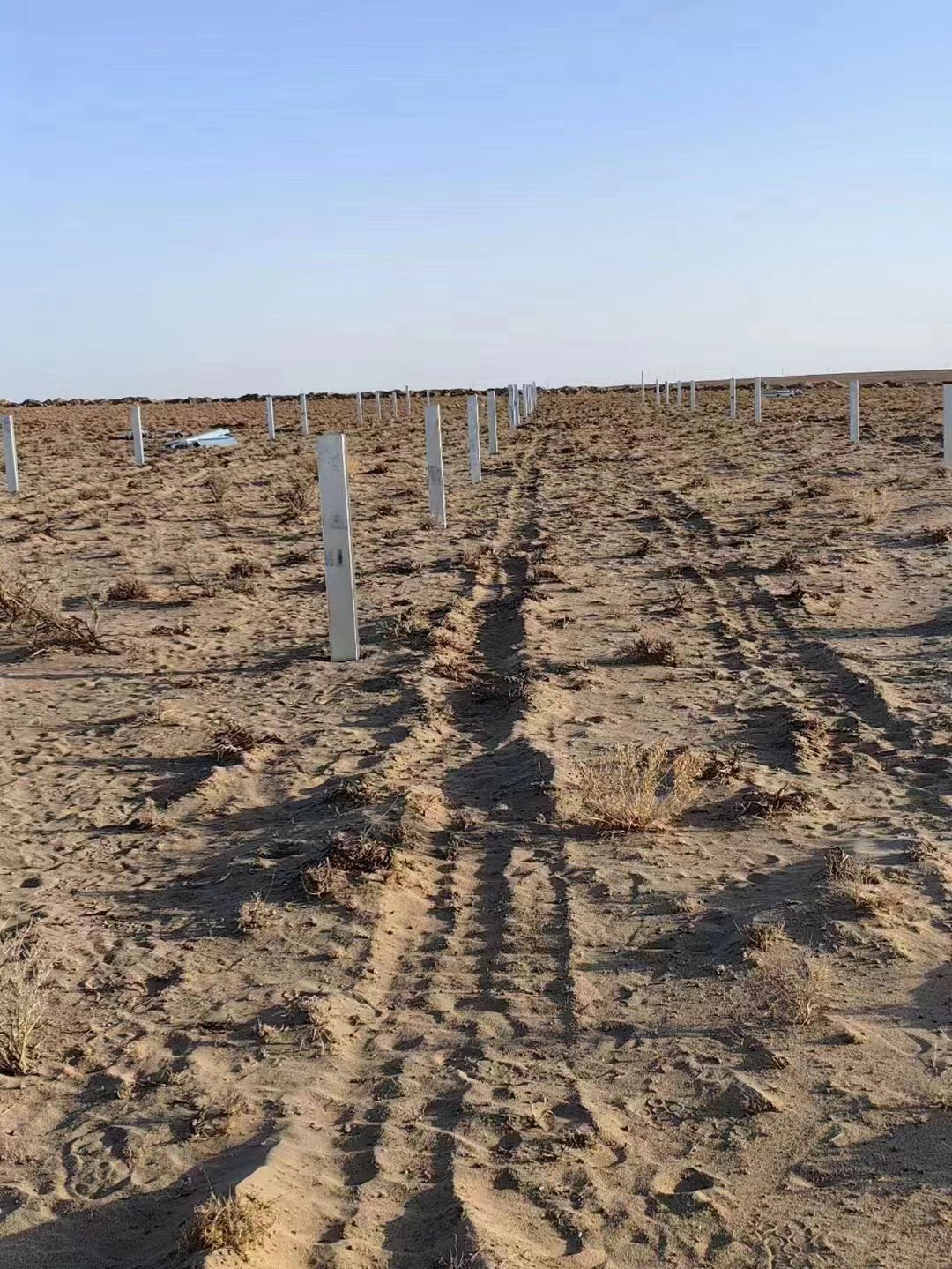 1695290994487665.jpg dafaeb67250202c14151920243d5cbc.jpg