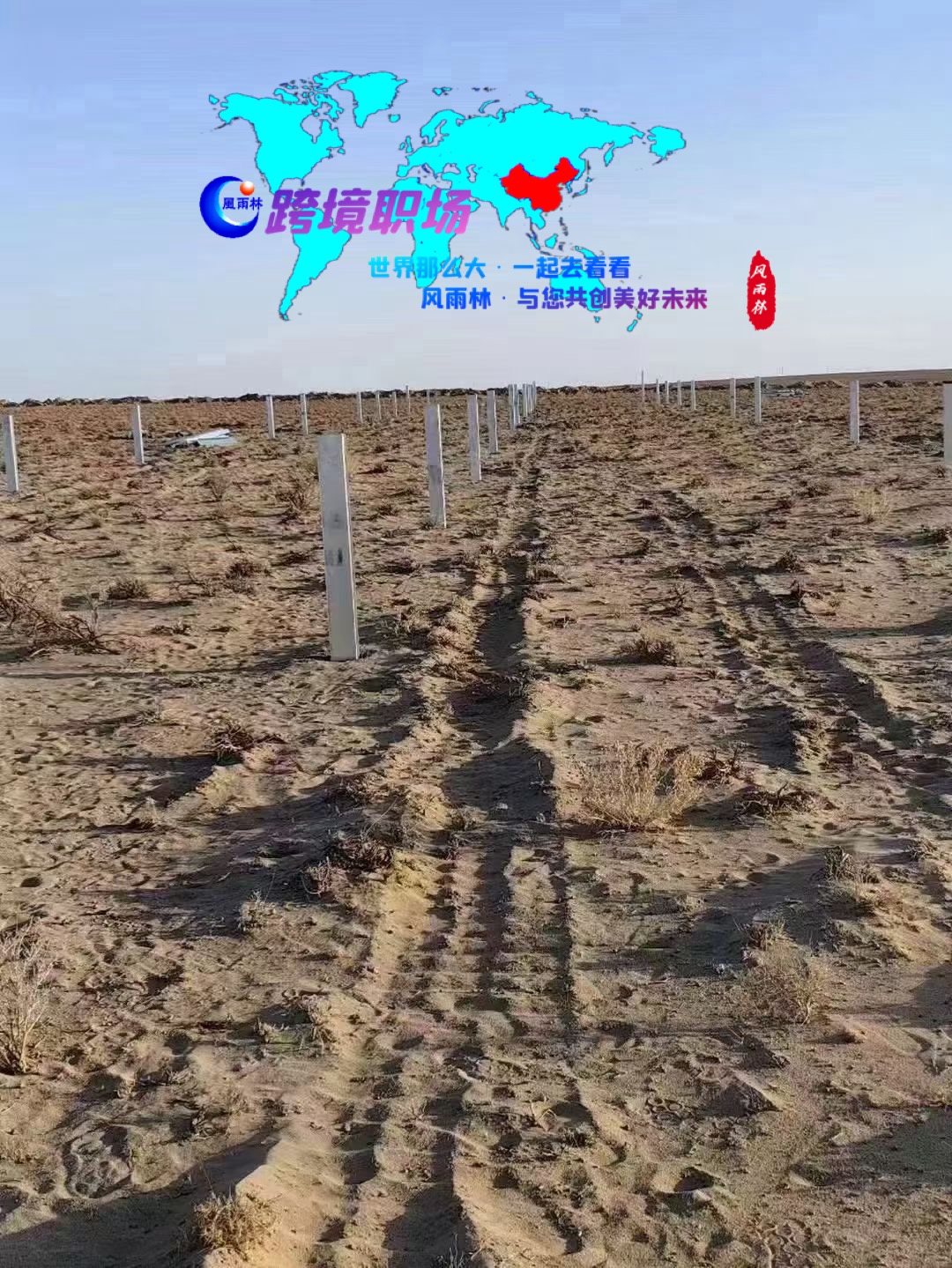 1699441026124458.jpg 3df782fd6673bc8bd4cd3a9ce7f32f6.jpg