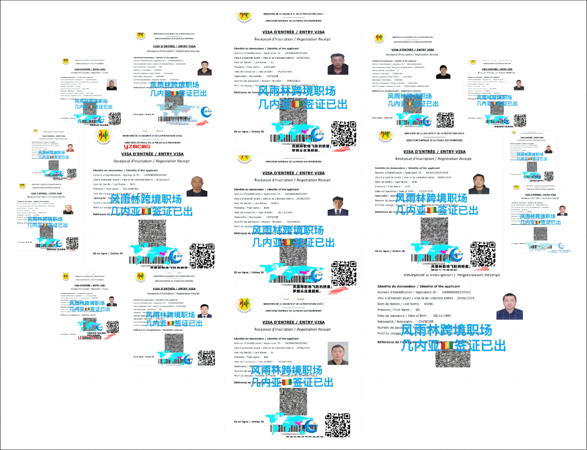 1711813596932542.png 几内亚签证.png