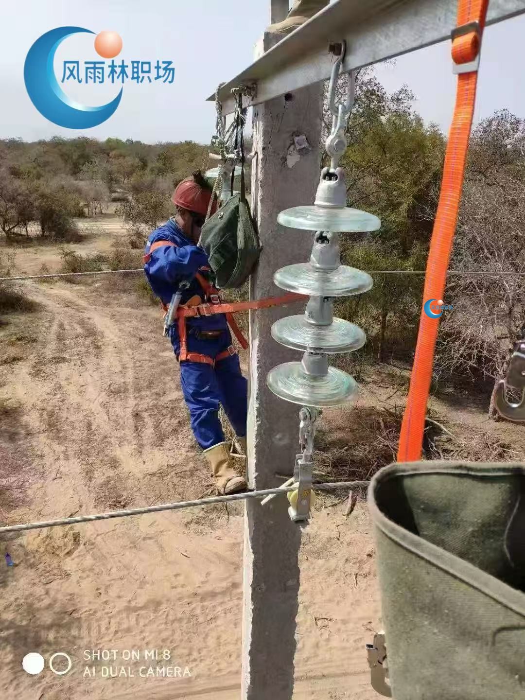 1741425251826474.jpg f4bdce6970295de9799445b7e2e81ce.jpg