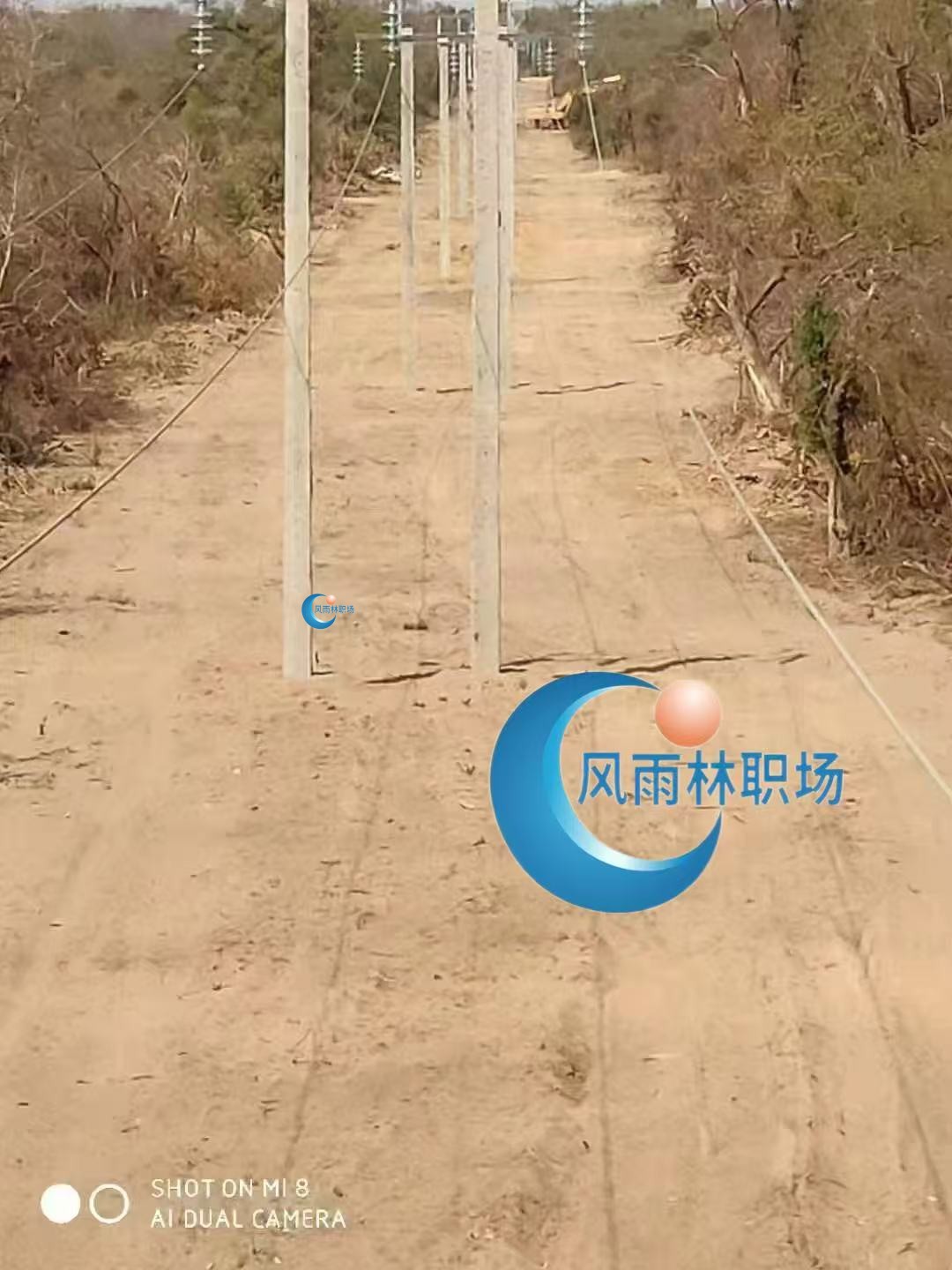 1741425269100016.jpg 8717f8bcaef056d970e3a9f9d8c6450.jpg